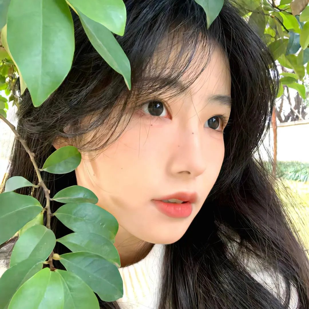 双夭记